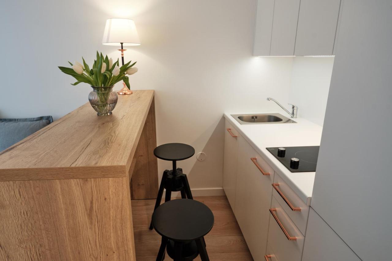 Cosy Studio Near Akropolis And Svyturio Arena Κλαϊπέντα Εξωτερικό φωτογραφία