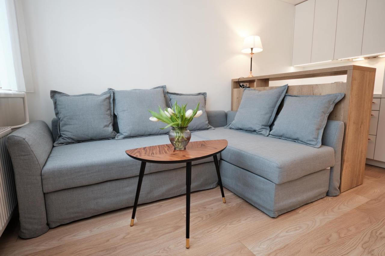 Cosy Studio Near Akropolis And Svyturio Arena Κλαϊπέντα Εξωτερικό φωτογραφία